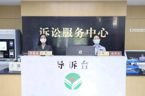 石獅法院打出“組合拳” 教育整頓辦實(shí)事，抗擊疫情與訴訟服務(wù)雙管齊下