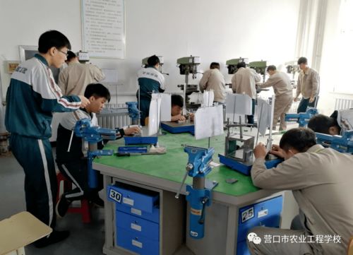 推進(jìn)職業(yè)教育實用高效發(fā)展 提升服務(wù)地區(qū)發(fā)展能力